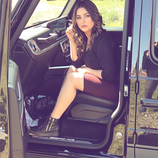 Shehnaz Gill Bigg Boss 13