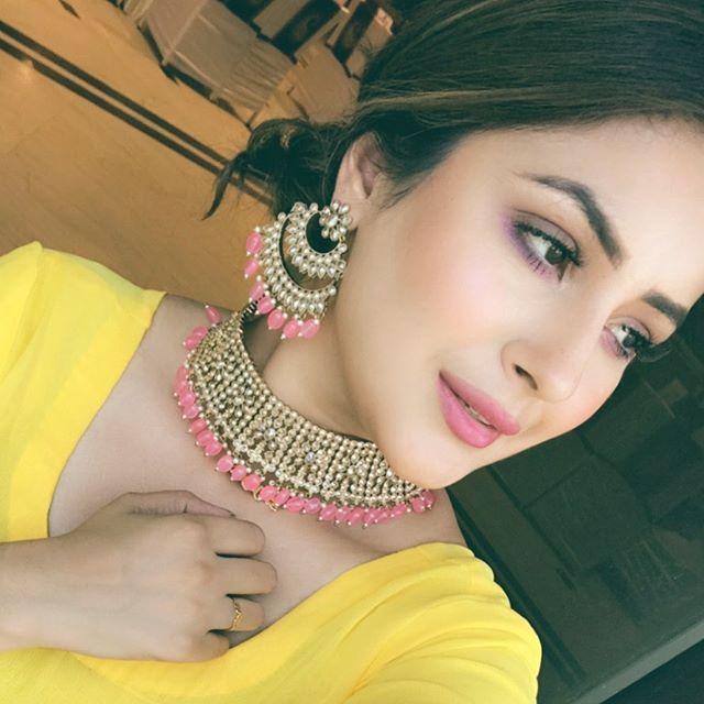 Shehnaz Gill Bigg Boss 13