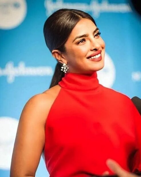 Priyanka Chopra earnings