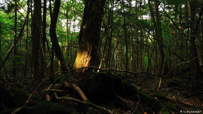 Haunted Places in the world