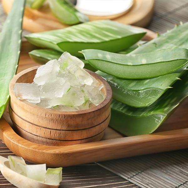 Aloe vera for skin