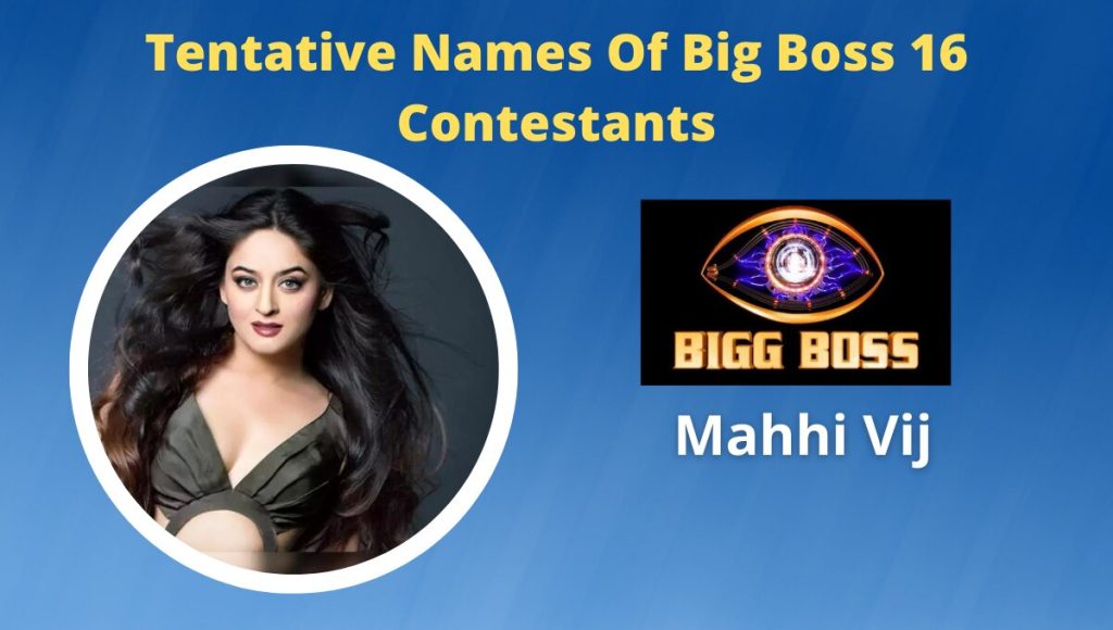 mahi vijj biss boss 16
