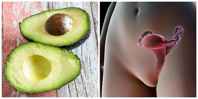 avocado for uterus
