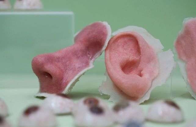 3D printing of human organs