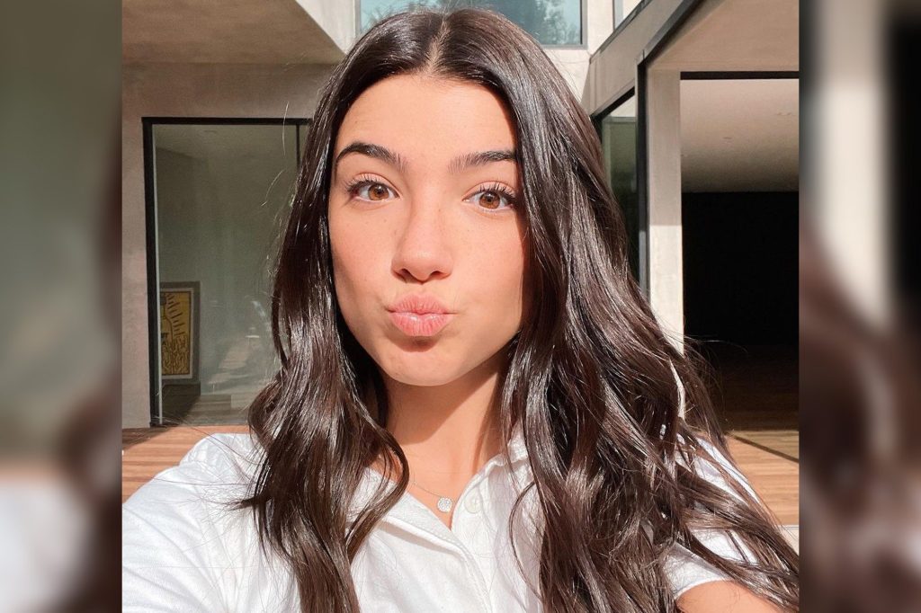 Most Followed TikTokers