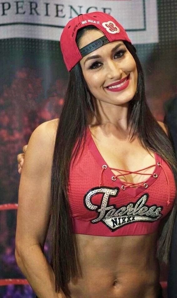 Nikki Bella and Brie Bella top 10 hot pics