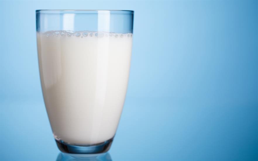 Diets During Pregnancy- Milk