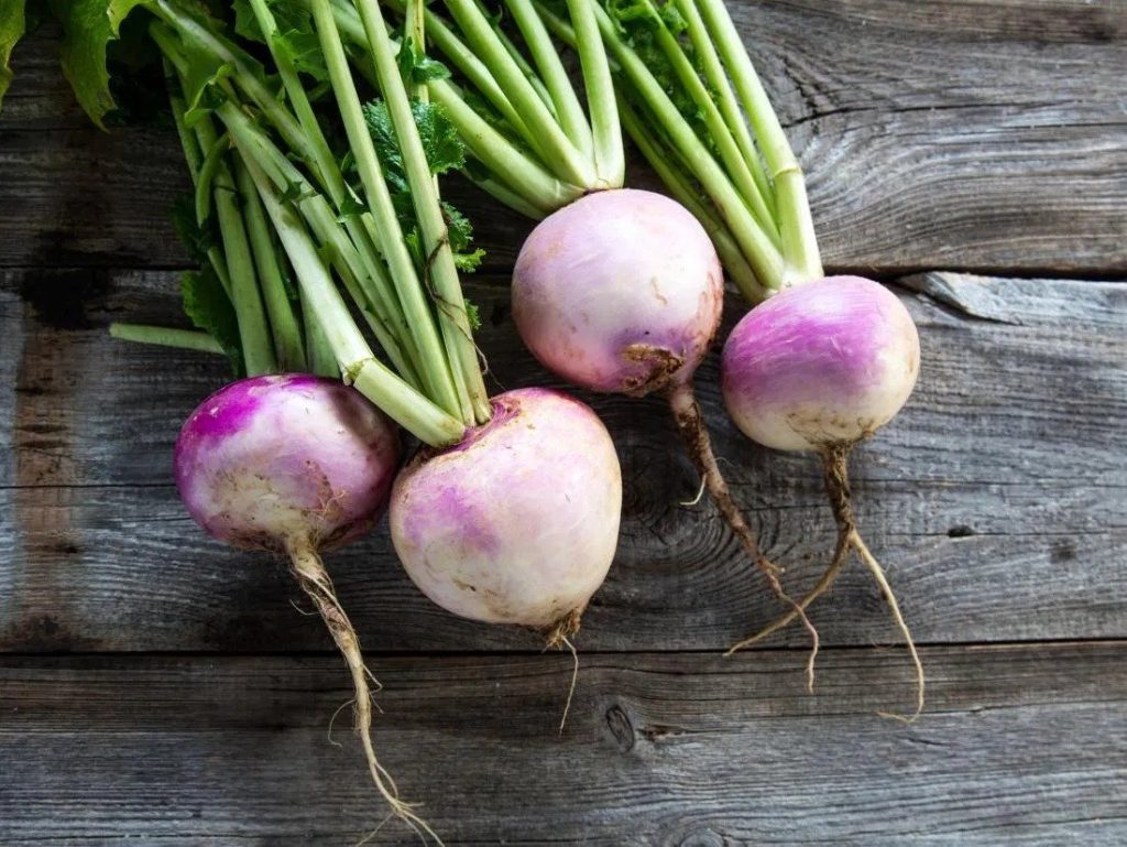 Diets During Pregnancy- turnip