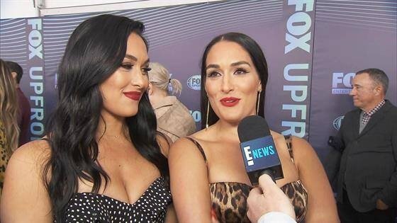 Nikki Bella and Brie Bella top 10 hot pics