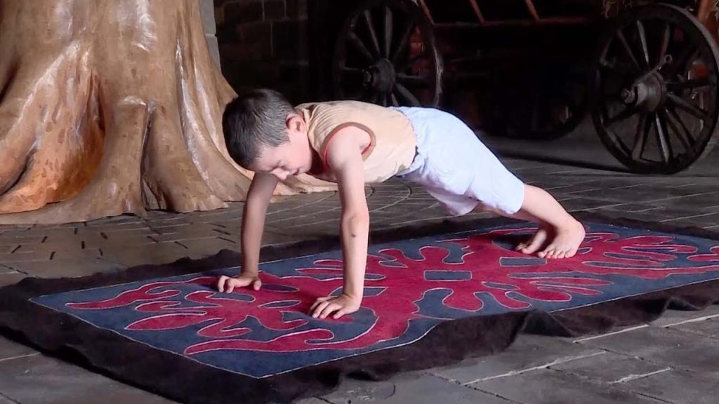 6 Years Old Kid Does 3,270 Push Ups In Two Hours And Wins an Apartment For Family