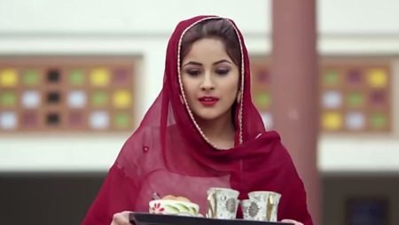 Everything You Should Know About Bigg Boss 13 Contestant Shehnaz Gill