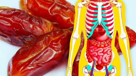 Consuming Dates can keep you away from these diseases Dates