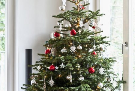 Christmas Special: The History Of Christmas Tree Christmas