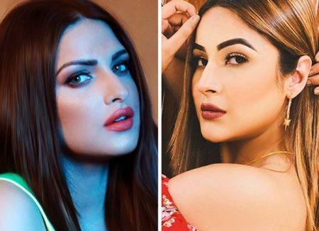 Bigg Boss 13: Himanshi Khurana Holds Shehnaaz Gill responsible for her breakup Himanshi-Khurana-holds-Shehnaaz-Gill-responsible-for-her-breakup