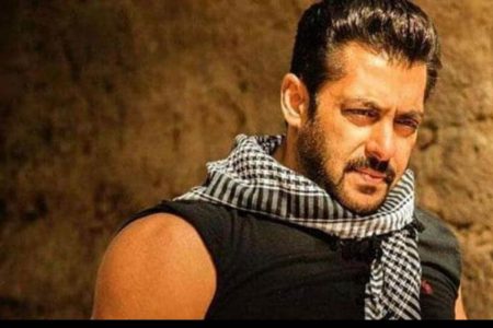 Salman Khan Puts His Upcoming Film Sherkhan On Hold Know Why? Salman Khan