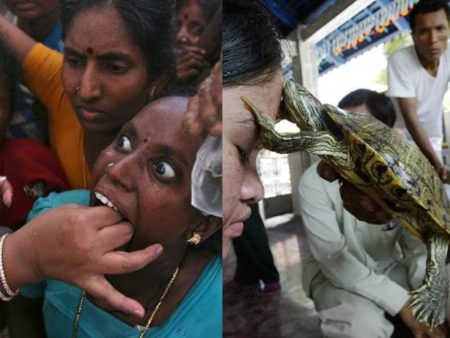 Weird Medical Practices Through Sea Creatures That You Haven’t Heard Off