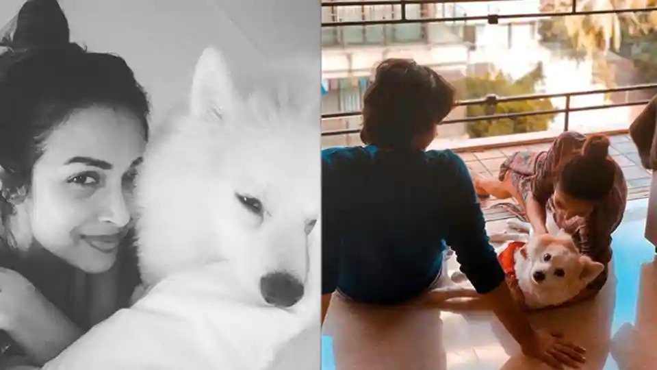 Malaika Shared A cute Photo With Son Arhan And Doggy Casper Malaika Arora
