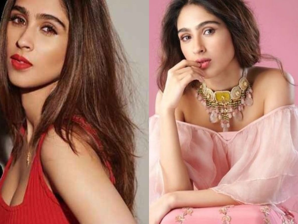 Hrithik Roshan’s Sister Pashmina Ready For Bollywood Debut Pashmina