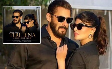 Salman’s Song ‘Tere Bina Goes’ Blockbuster In Lockdown Tere bina salman khan Jacqline