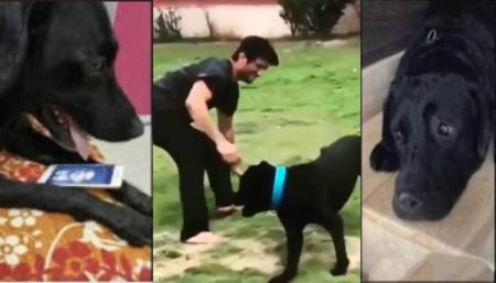 Sushant singh rajput dog fudge