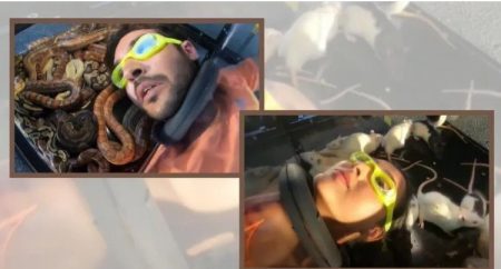 Tejasswi & Shivin's Recent Task