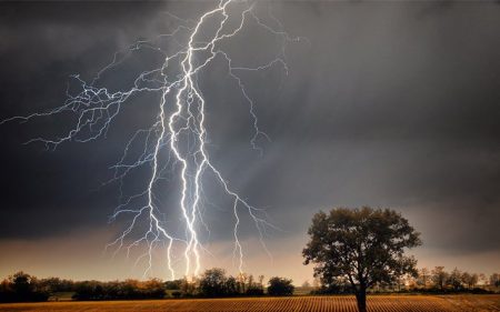 Over 83 People Killed Due To Lightning In UP-Bihar 83 people killed in bihar by lightning