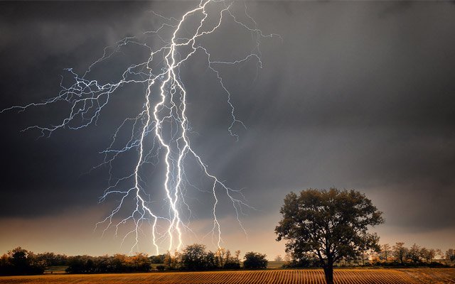 Over 83 People Killed Due To Lightning In UP-Bihar 83 people killed in bihar by lightning