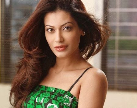 Payal Rohatgi Lands In Controversies: Know The Matter Payal Rohtagi