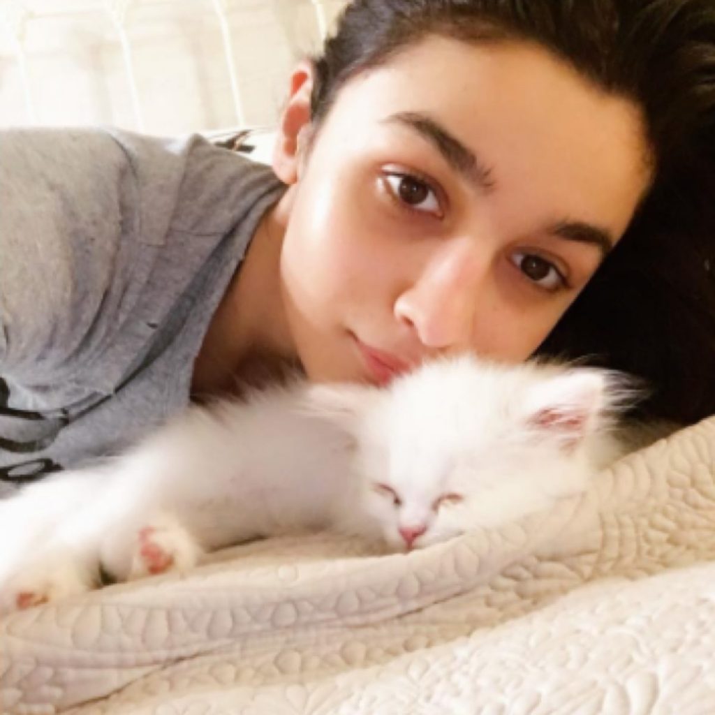 Photos Posted By Alia Bhatt Has One Thing In Common: Check Out Alia Bhatt
