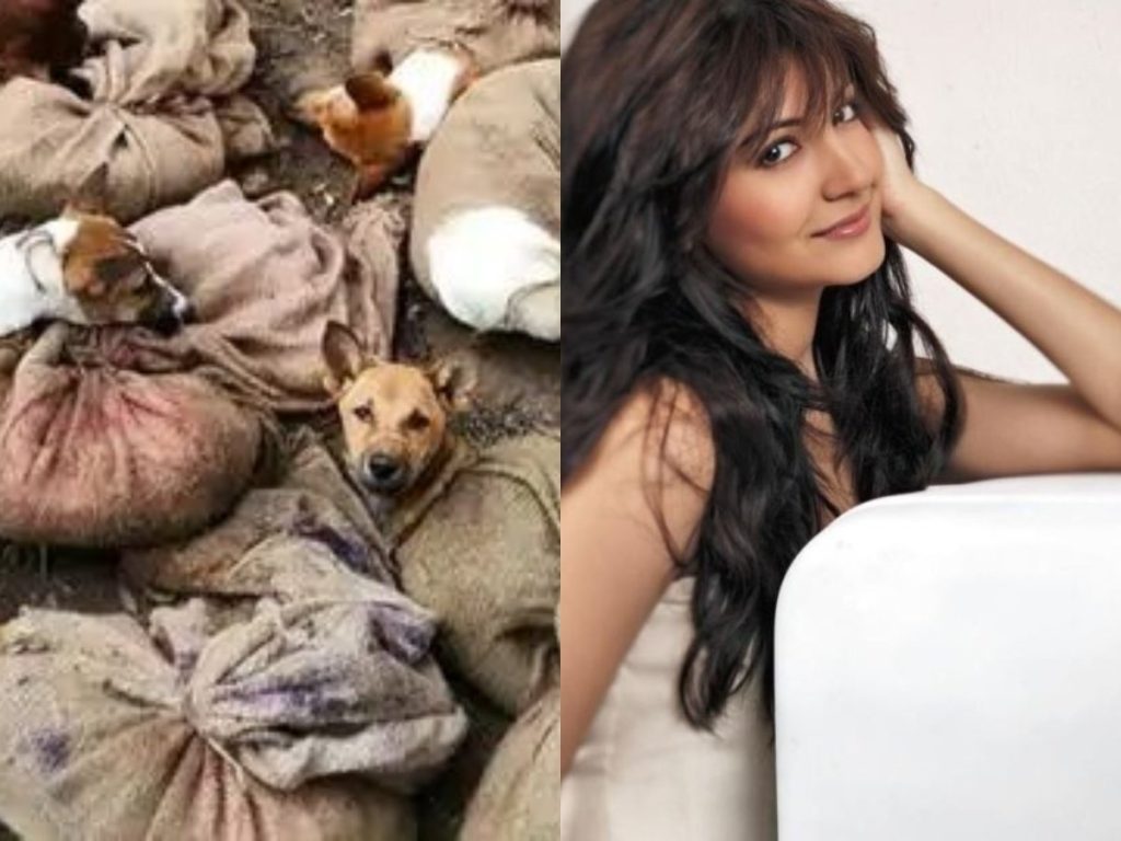 Dogs ban in nagaland