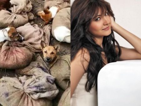 Dogs ban in nagaland