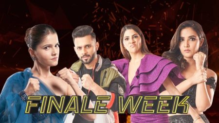 Big Boss14 grand finale