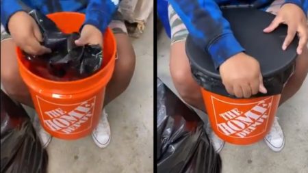 Beauty Influencer Shirley Raines Shift Toilet Video Is Viral On Twitter Makeshift Toilet