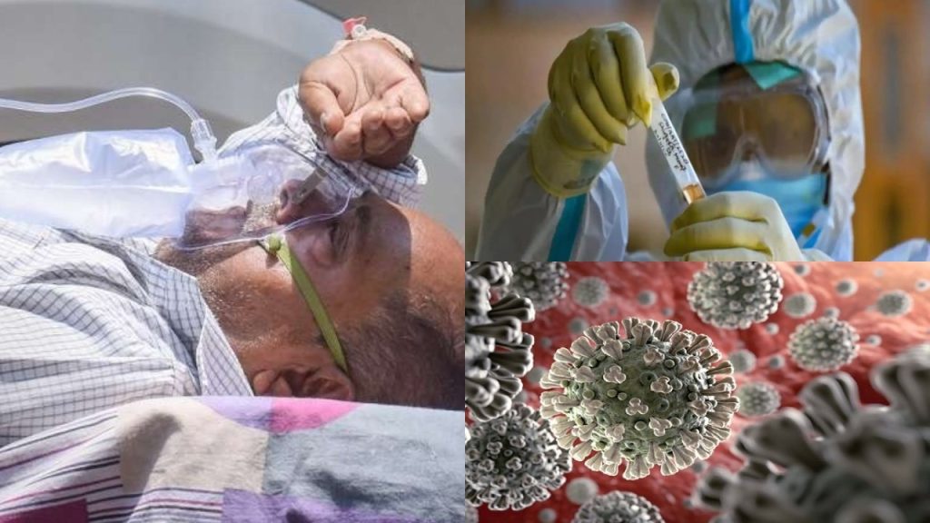 This New Covid Variant Of N440K Is More Lethal And 15 Times Threating Corona virus N440K varient