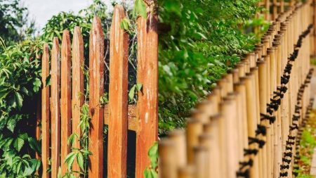 Ideas To Take Your Fences To The Next Level Garden fence