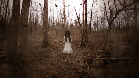 Most Scariest Forests On The Planet That Will Give You Goosebumps scary forest