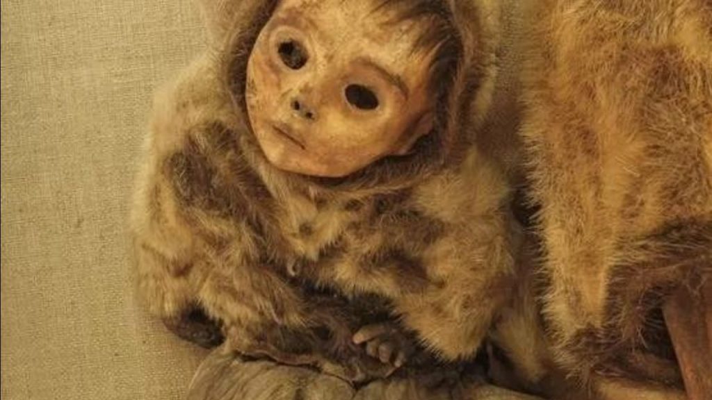 mummies found in glaciers