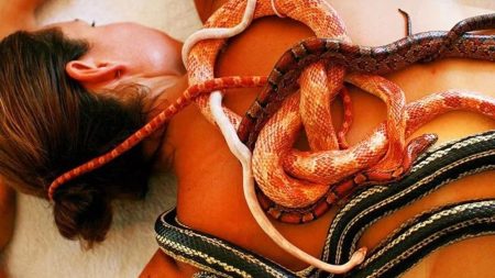 Weird Snake Massage: Here’s Why People Let Them Slither On Their Body Snake Massage