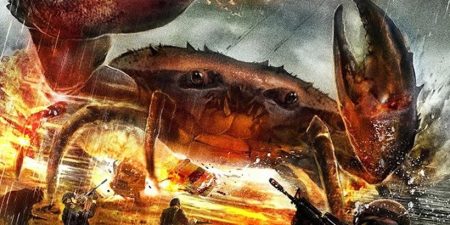 The World’s ‘Strongest’ Crab, That Can Easily Break Human Bones!