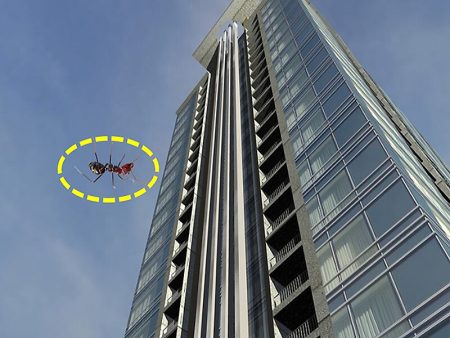 What If An Ant Fells Down From ‘Burj Khalifa’? Know The Perfect Answer Drop ant from height