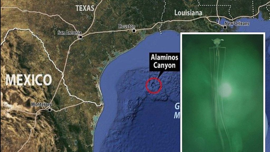 Alien squid in gulf of Mexico